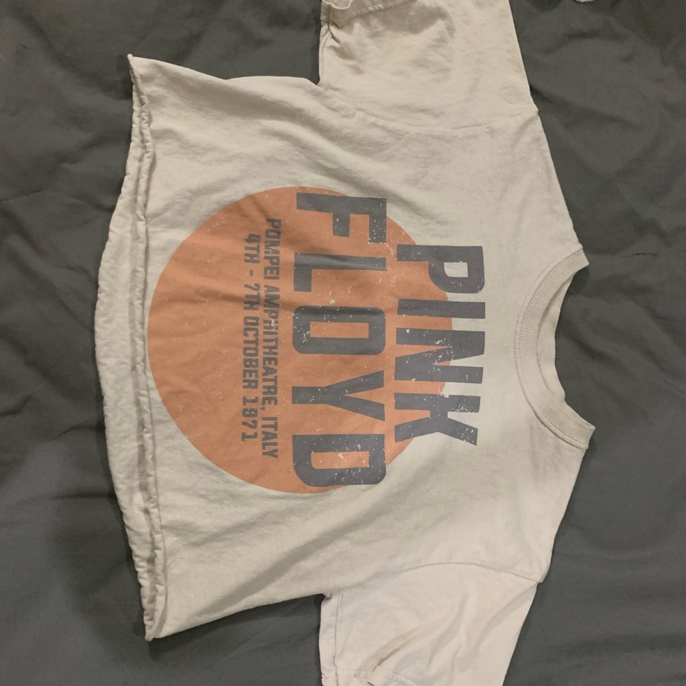 Pink Floyd crop